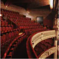 Image posted by the member