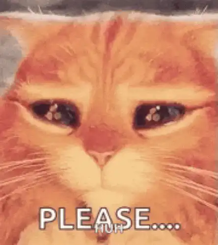 Image posted by the member