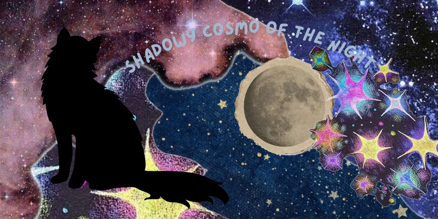 Image posted by the member