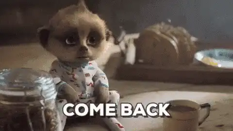Image posted by the member