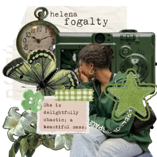 Image posted by the member