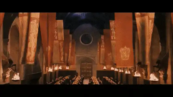Image posted by the member