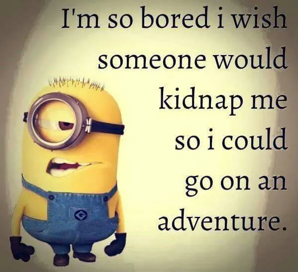 Image posted by the member