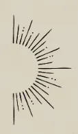 Image posted by the member