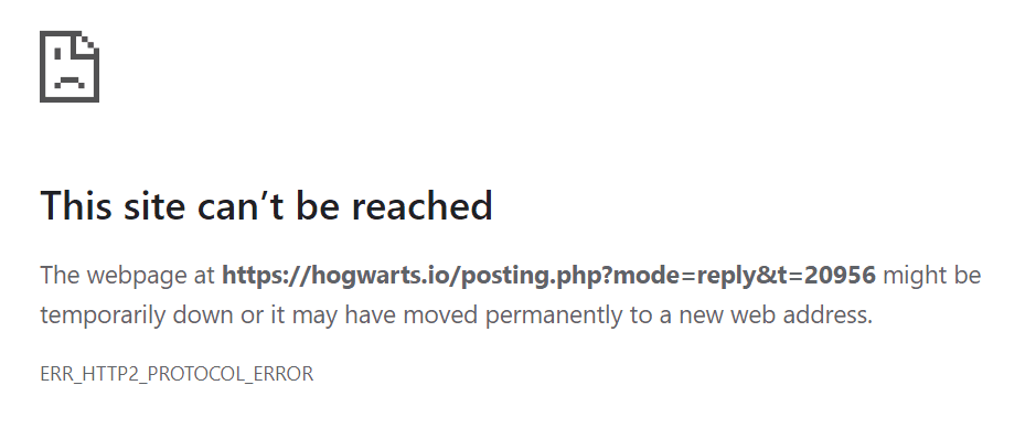 Image posted by the member