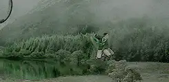 Image posted by the member