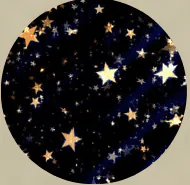 Image posted by the member