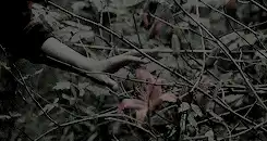 Image posted by the member
