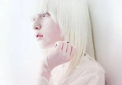 Image posted by the member