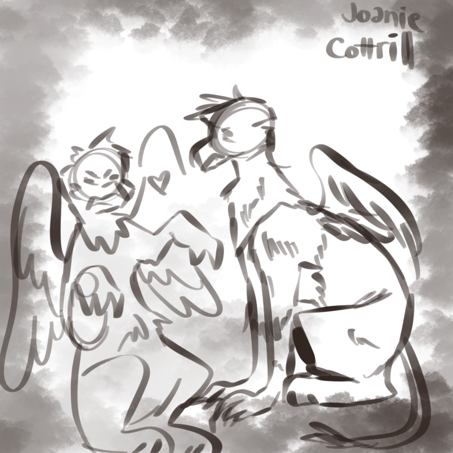 Image posted by the member