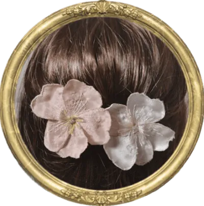 Image posted by the member
