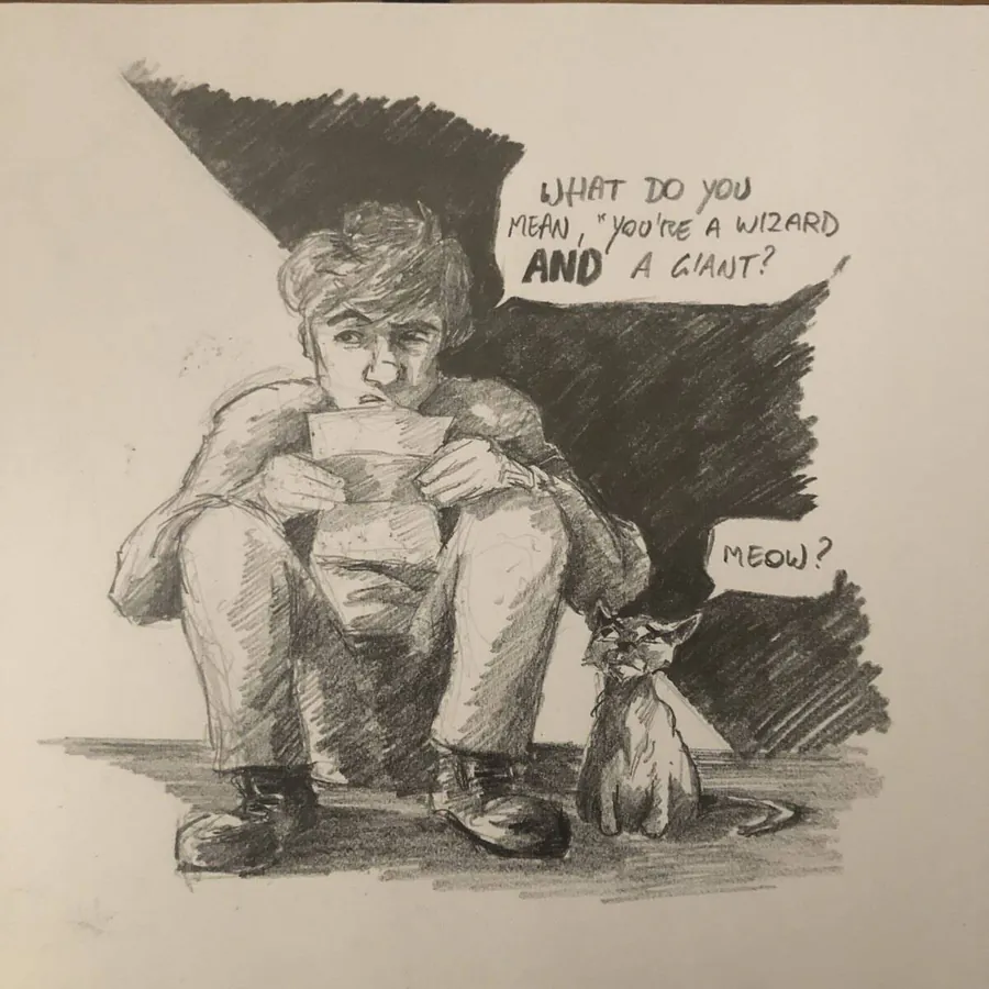 Image posted by the member