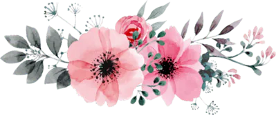 Image posted by the member