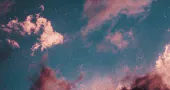 Image posted by the member