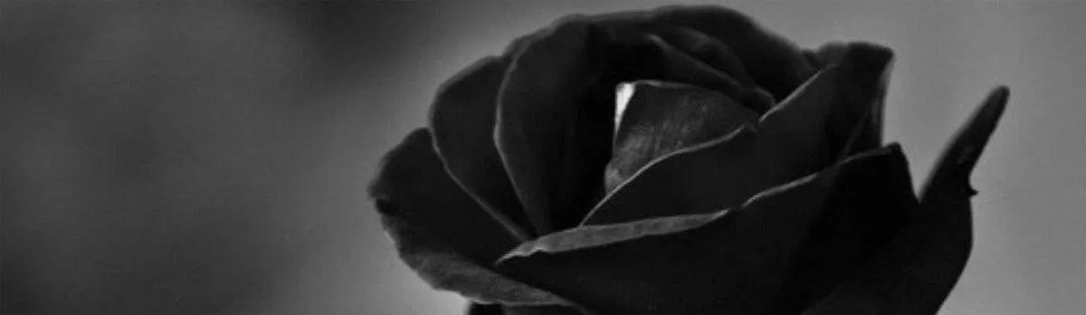 Image posted by the member