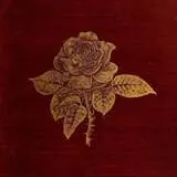 Image posted by the member