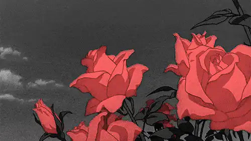 Image posted by the member