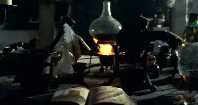 Image posted by the member