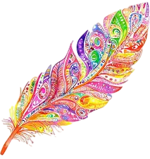Image posted by the member