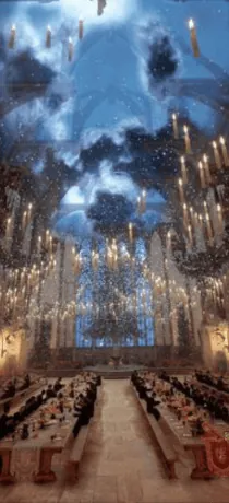 Image posted by the member