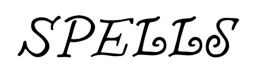 Image posted by the member