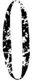 Image posted by the member