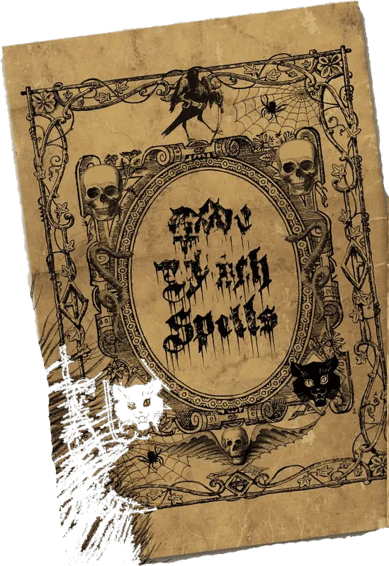 Image posted by the member