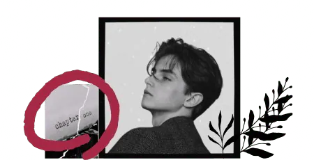 Image posted by the member