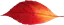 Image posted by the member