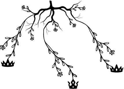 Image posted by the member