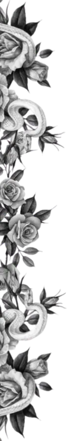 Image posted by the member