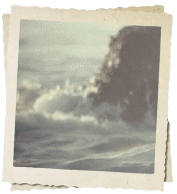 Image posted by the member