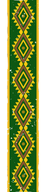 Image posted by the member