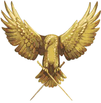 Image posted by the member