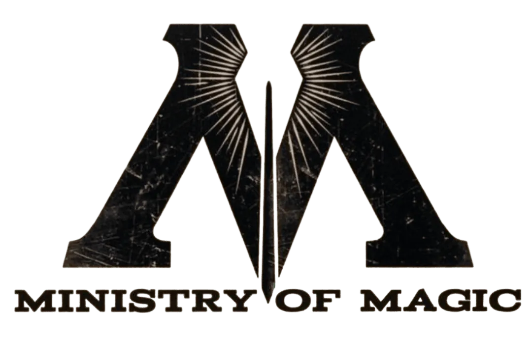 Image posted by the member