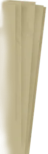 Image posted by the member