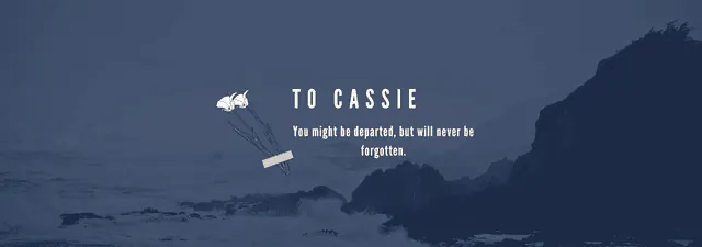 Image posted by the member