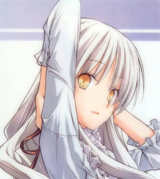 Image posted by the member