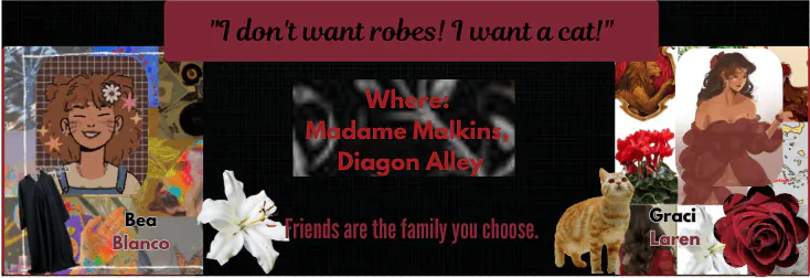 Image posted by the member