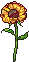 Image posted by the member