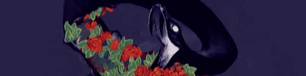 Image posted by the member