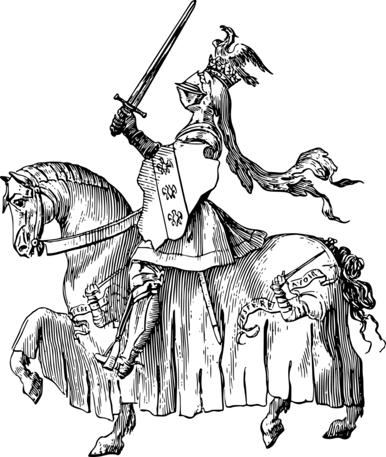Image posted by the member