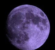 Image posted by the member