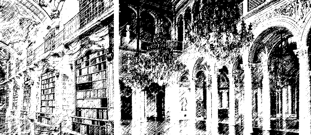 Image posted by the member