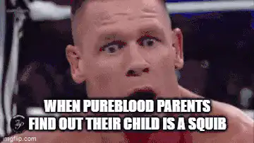 Image posted by the member