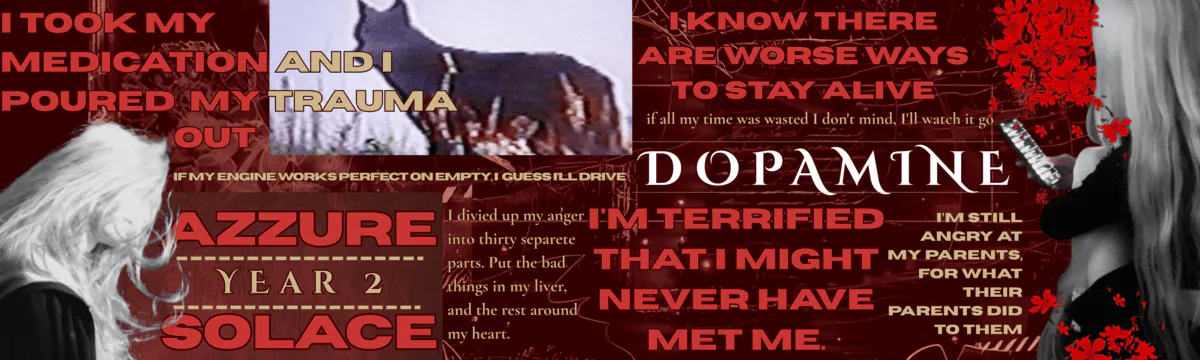 Image posted by the member