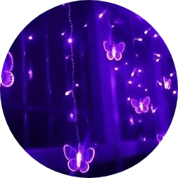 Image posted by the member