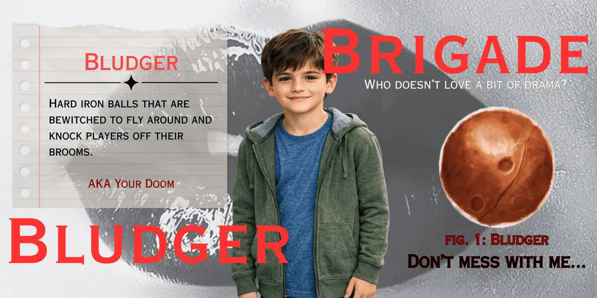 Image posted by the member