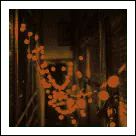 Image posted by the member
