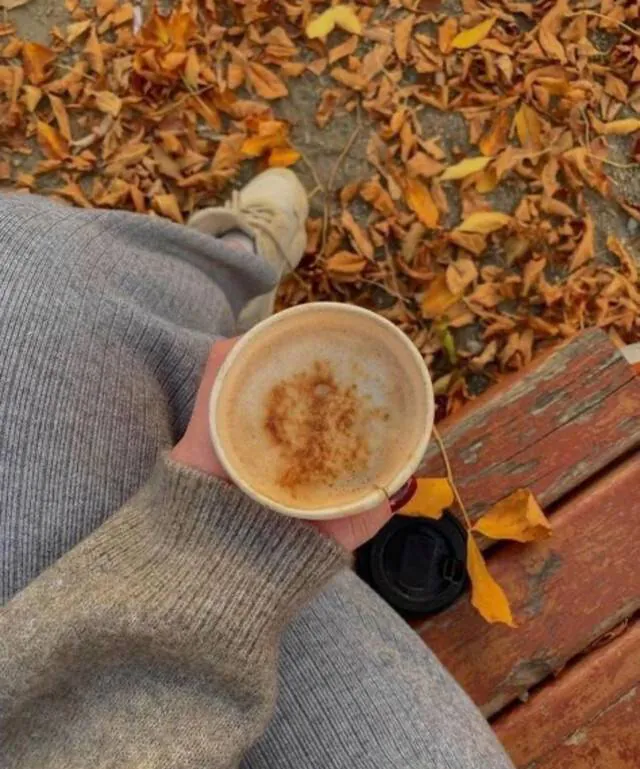Image posted by the member
